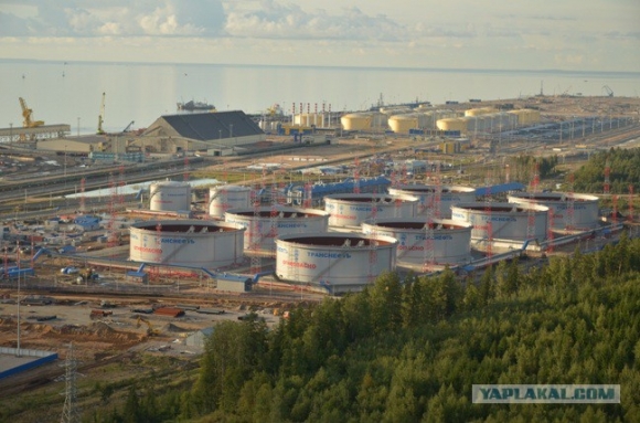 СРОЧНО! Порт Усть-Луга ищет подрядчика для строительства оградительного сооружения