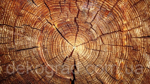 Китайские ученые разработали гибкую и огнеупорную древесину