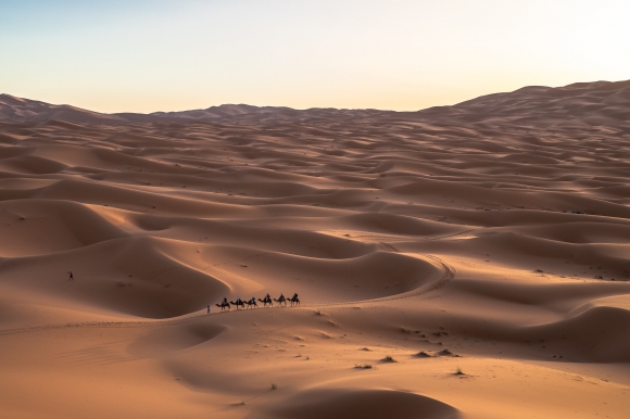В аравийской пустыне хотят построить «город-стену»