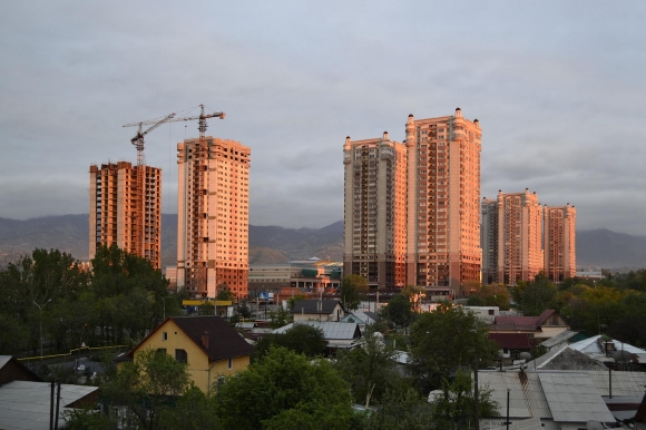 Путин поручил наращивать стройку жилья на Дальнем Востоке за счет зеленых технологий