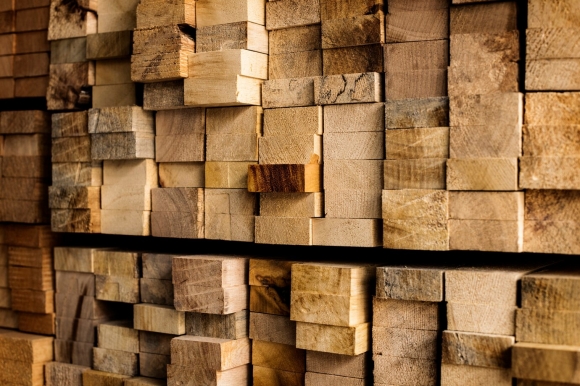 Госдума ввела штрафы за несоблюдение обязательных требований при обороте древесины