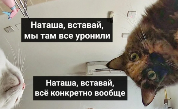 «Наташа, мы все уронили!»: падают объемы ввода жилья и сделок по ипотеке