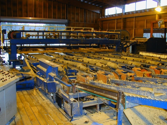 Завод по переработке леса построят в Рязанской области